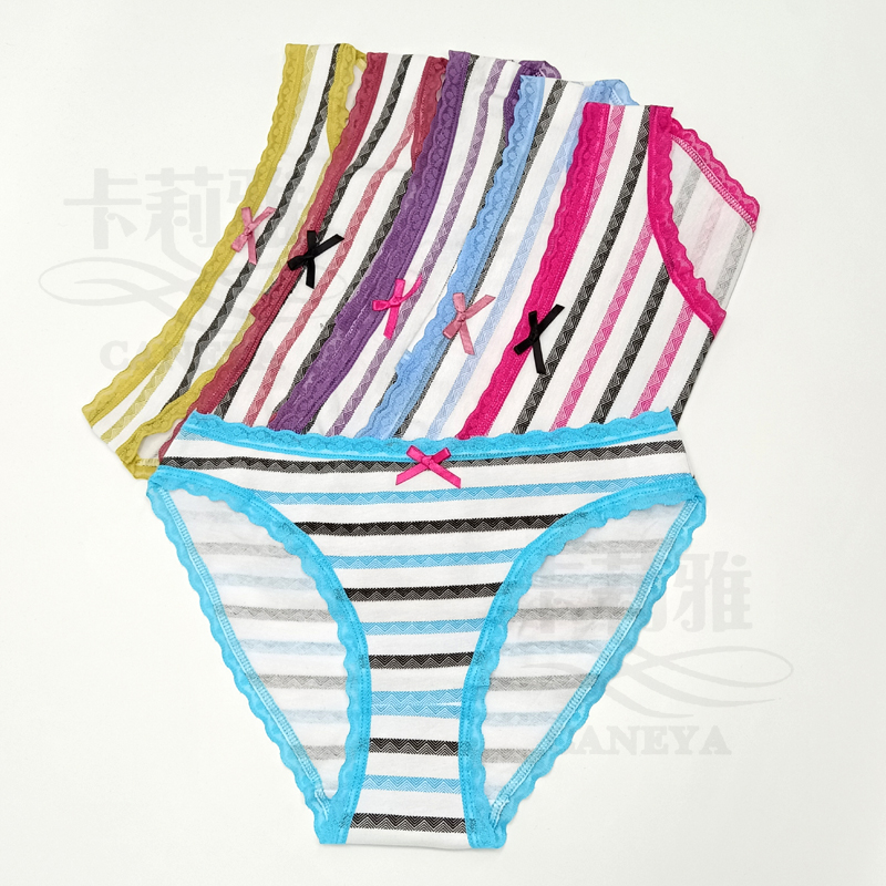 Multicolor Horizontal Bar Printed Briefs