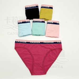 Women's Full Brief Underwear, Logo Wide Waistband,fine Cotton