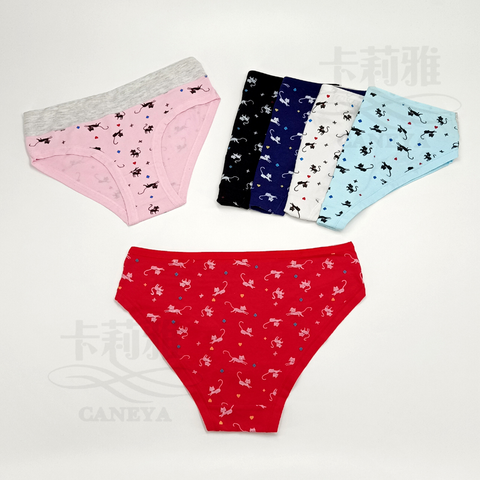 Women's Satin Panties Mid Rise , Cute Cat Printed Cotton Comfy Breathable .